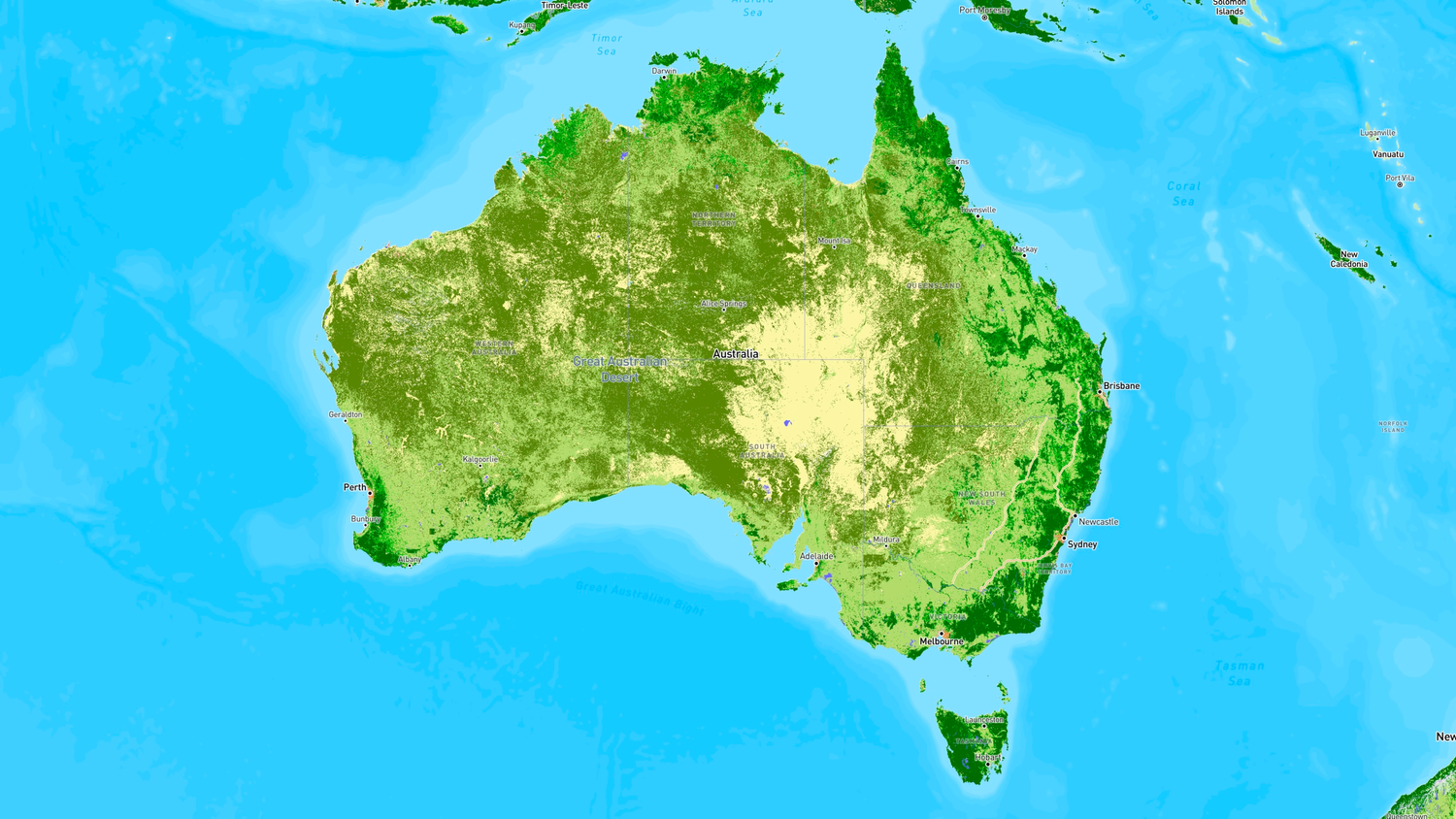 Vegetation data visualization